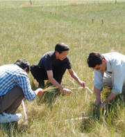 Ecologists from ASU and the Chinese Academy of Sciences sample plant diversity in Inner Mongolia