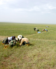 International graduate students and researchers participate in the world's largest grassland field experiment