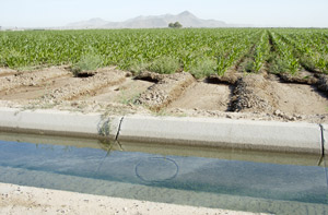 Agricultural Water Canal