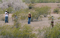CAP LTER technicians and graduate students survey desert study plots