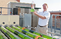 Dr. Rittmann sampling photosynthetic bacteria from the biofuels project Tubes in the Desert